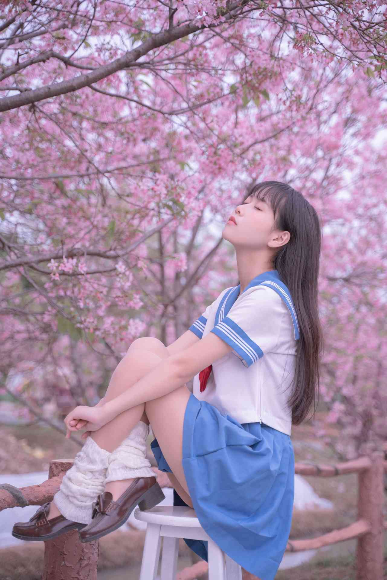 萌芽儿o0樱花JK
